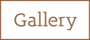 Gallery Kitchens